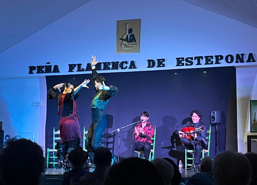 Immerse Yourself in Authentic Flamenco at Peña Flamenca de Estepona